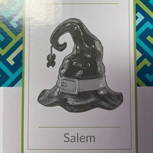 Salem scentsy warmer